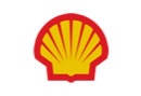 03-shell.jpg